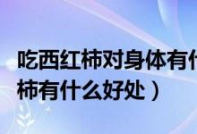 吃西红柿对身体有什么好处（每天吃一个西红柿有什么好处）