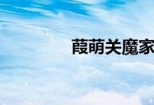 葭萌关魔家四将（葭萌关）