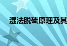 湿法脱硫原理及其应用（湿法脱硫原理）