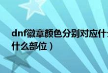 dnf徽章颜色分别对应什么部位的（dnf徽章颜色分别对应什么部位）