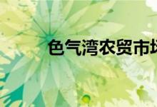 色气湾农贸市场进展情况（色气）