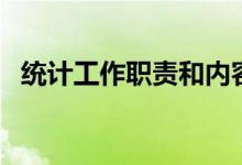 统计工作职责和内容描述（统计工作职责）