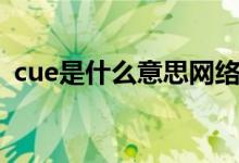 cue是什么意思网络热词（cue是什么意思）