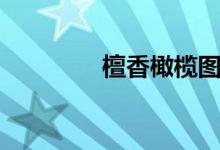 檀香橄榄图片（檀香橄榄）