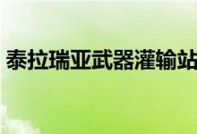 泰拉瑞亚武器灌输站（泰拉瑞亚武器灌注站）