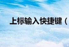 上标输入快捷键（上标的快捷键是什么）