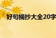 好句摘抄大全20字（好句摘抄大全10字）