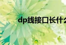 dp线接口长什么样(dp接口图片)