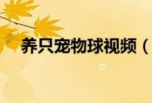 养只宠物球视频（养只宠物球怎么变老）
