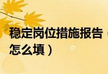 稳定岗位措施报告（上年度稳定岗位基本情况怎么填）