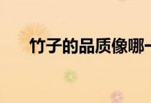 竹子的品质像哪一些人（竹子的品质）