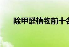 除甲醛植物前十名图片（除甲醛植物）