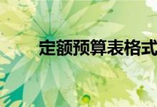 定额预算表格式（定额预算怎么做）