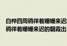 白桦四周徜徉着姗姗来迟的朝霞修辞手法是什么（白桦四周徜徉着姗姗来迟的朝霞出自哪里）
