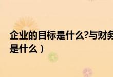企业的目标是什么?与财务管理的目标的关系?（企业的目标是什么）