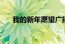 我的新年愿望广播稿（我的新年愿望）