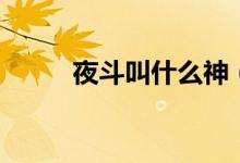 夜斗叫什么神（夜斗神是什么神）