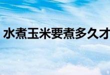 水煮玉米要煮多久才熟（玉米要煮多久才熟）