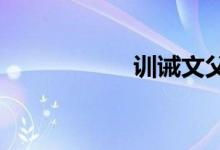 训诫文父子虐心挨打
