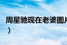 周星驰现在老婆图片（周星驰现在的老婆是谁）