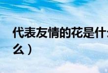 代表友情的花是什么花?(代表友情的花是什么)