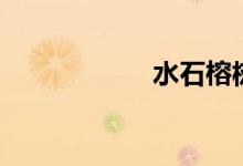 水石榕树（水石榕）