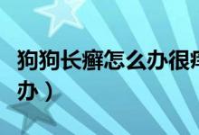 狗狗长癣怎么办很痒它一直抓（狗狗长癣怎么办）