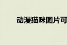 动漫猫咪图片可爱（动漫猫咪图片）