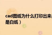 cad图纸为什么打印出来是空白的（cad快速看图打印出来是白纸）