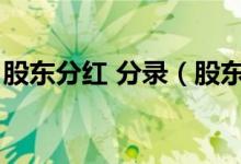 股东分红 分录（股东分红的会计分录怎么做）