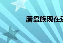 唇盘族现在还存在吗（唇盘）
