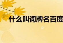 什么叫词牌名百度百科（什么叫词牌名）