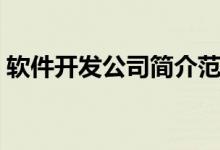 软件开发公司简介范文(软件开发公司简介)