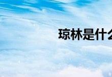 琼林是什么意思（琼林）