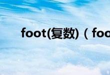 foot(复数)（foot的复数形式是什么）