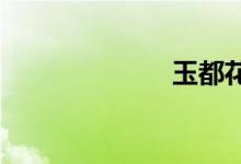 玉都花少笔趣阁