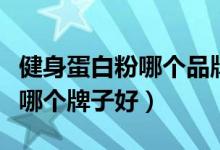 健身蛋白粉哪个品牌最好最安全（健身蛋白粉哪个牌子好）