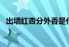 出墙红杏分外香是什么生肖（出墙红杏当自强）