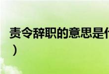 责令辞职的意思是什么（责令辞职是什么处分）