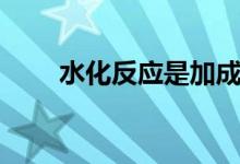 水化反应是加成反应吗（水化反应）