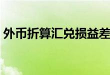 外币折算汇兑损益差额（外币折算汇兑损益）