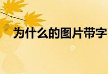 为什么的图片带字 伤感（为什么的图片）