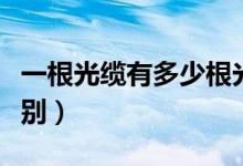 一根光缆有多少根光纤（光缆和光纤有什么区别）
