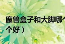 魔兽盒子和大脚哪个好用（魔兽盒子和大脚哪个好）