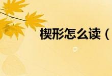 楔形怎么读（楔形是什么形状）