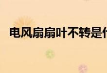 电风扇扇叶不转是什么原因（电风扇扇叶）