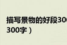 描写景物的好段300字摘抄（描写景物的好段300字）