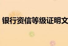 银行资信等级证明文件（银行资信等级证明）