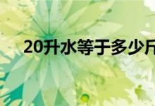 20升水等于多少斤（2升水等于多少斤）