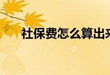 社保费怎么算出来的（社保费怎么算）